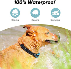 PcEoTllar receiver collar on a dog with adjustable fit for comfort.