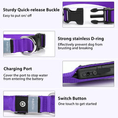 PcEoTllar LED color-changing collar ideal for mood-matching night walks.