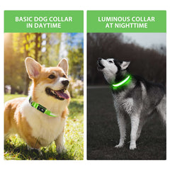 PcEoTllar LED color-changing collar showing seven color options