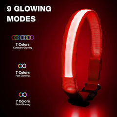 PcEoTllar LED dog collar glows for night walks, helping you spot your dog.