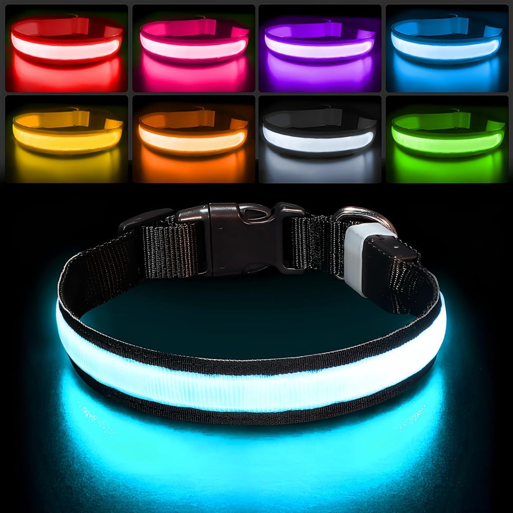 PcEoTllar light-up dog collar glows in rainbow RGB colors for safer night walks
