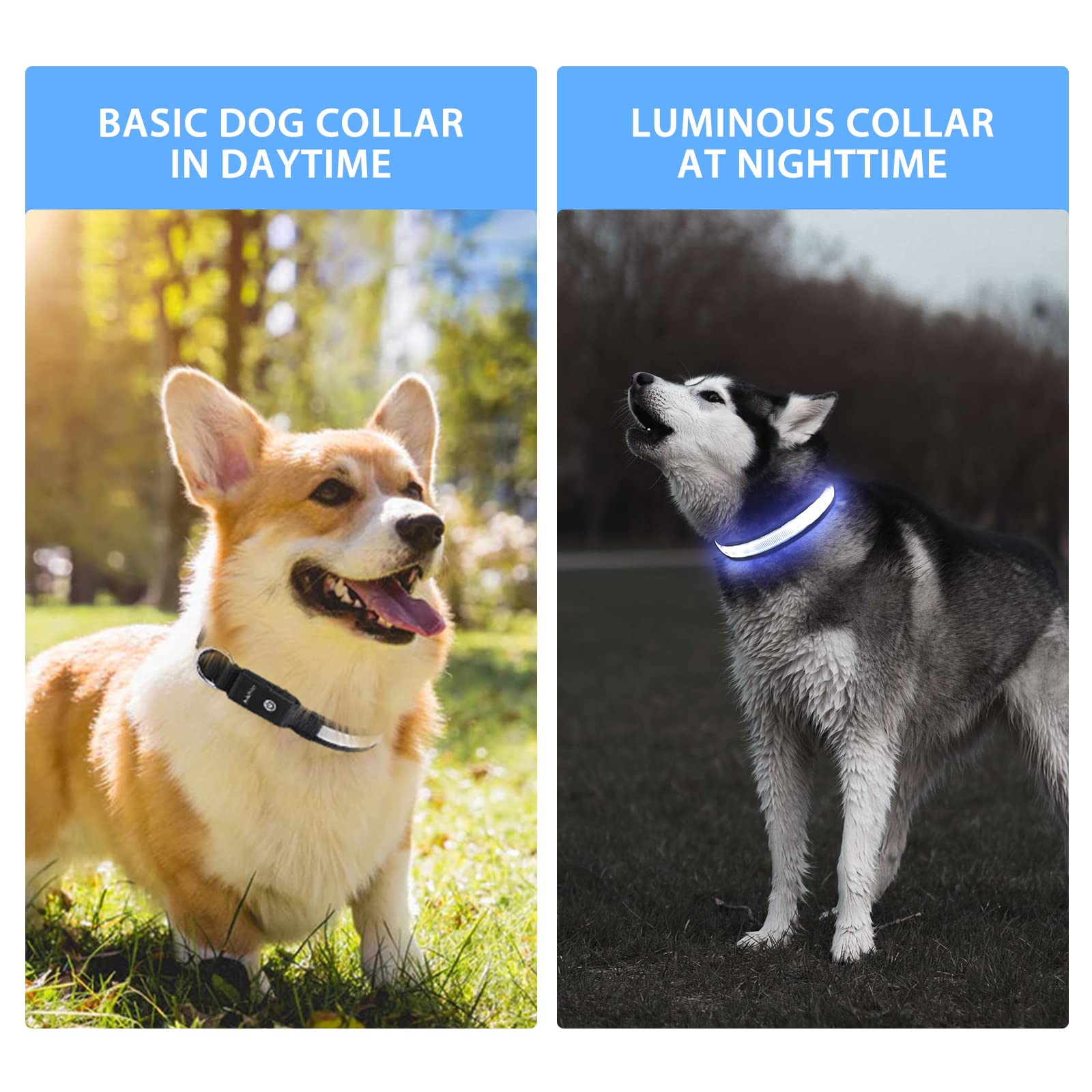 PcEoTllar long-lasting battery LED collar supports extended evening walks