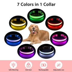 PcEoTllar rechargeable dog collar powered by USB for mess-free charging.