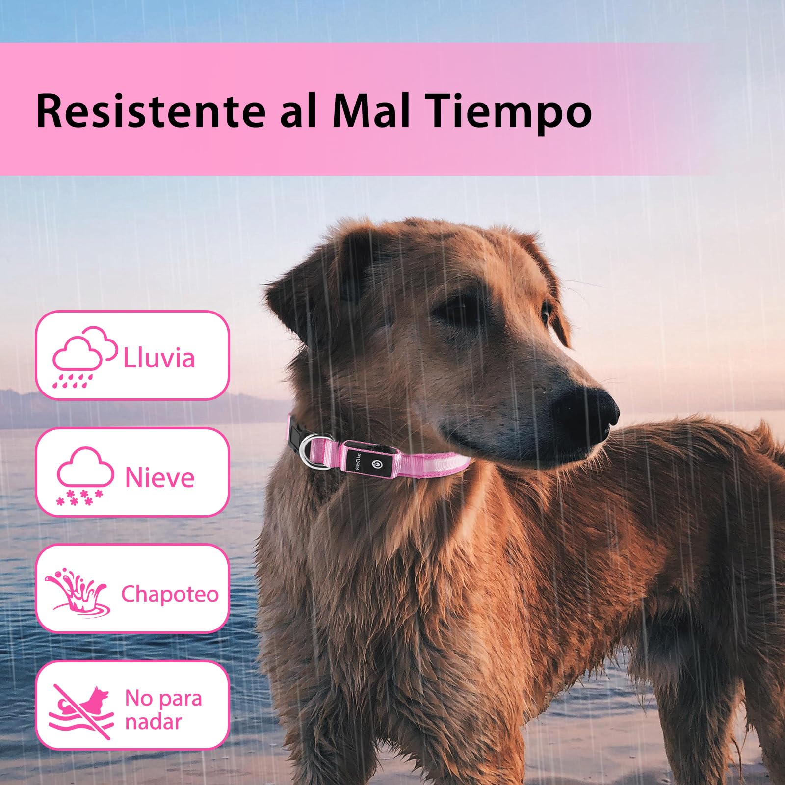 PcEoTllar rechargeable LED dog collar USB charging, no batteries
