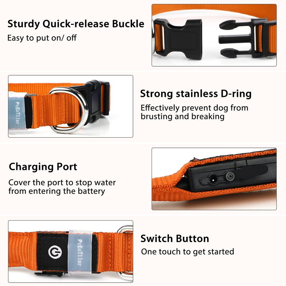 PcEoTllar rechargeable waterproof LED collar for swimming and outdoor play.