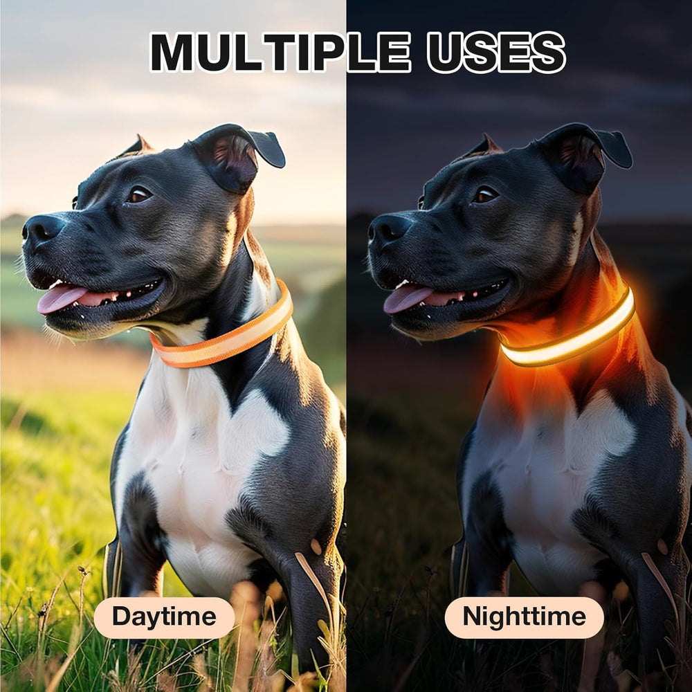 PcEoTllar high-visibility RGB glow helps spot your dog.