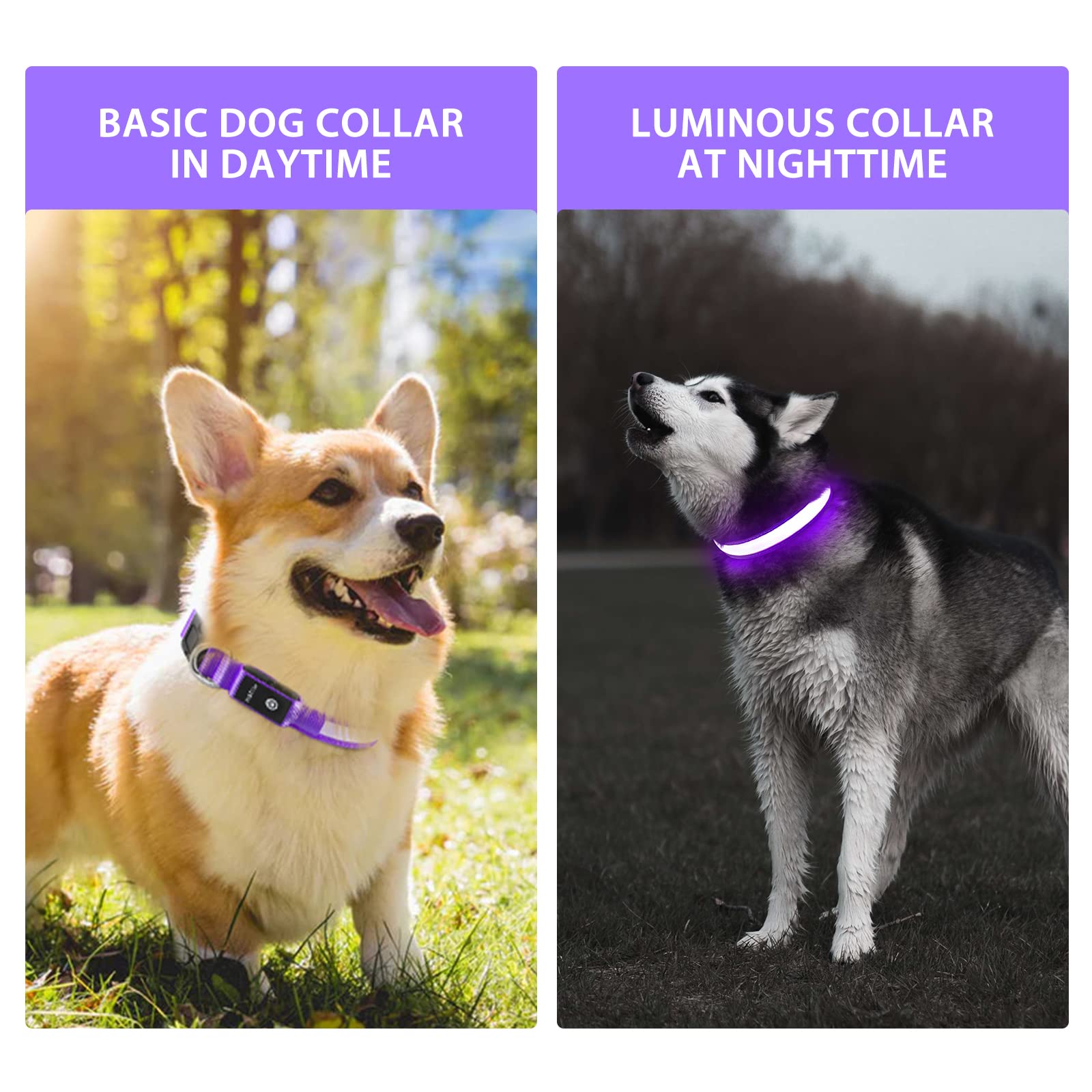 PcEoTllar USB charging keeps collars ready to shine