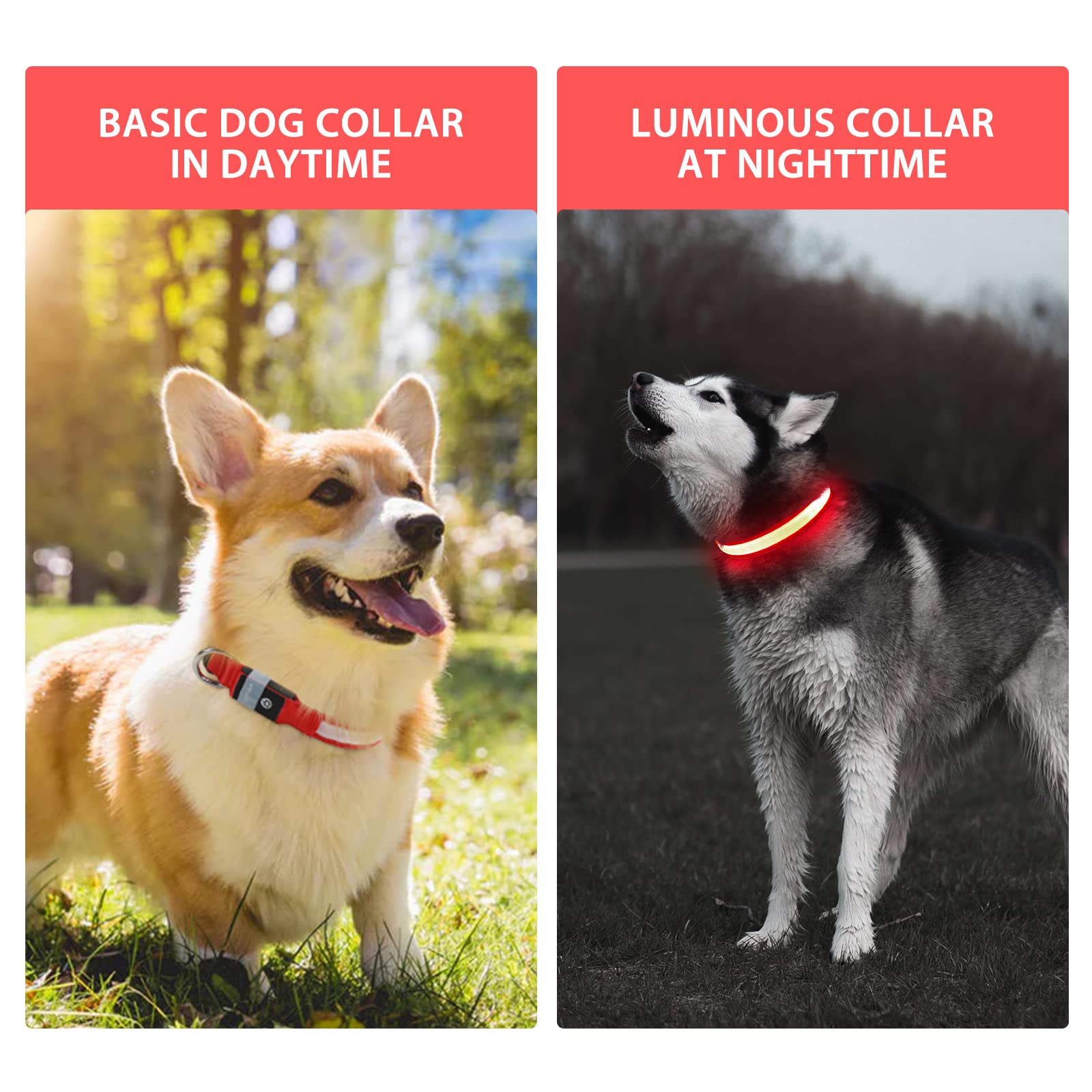 PcEoTllar waterproof dog collar glows during swims and splashes.