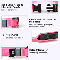PcEoTllar waterproof dog collar ready for rain and water play