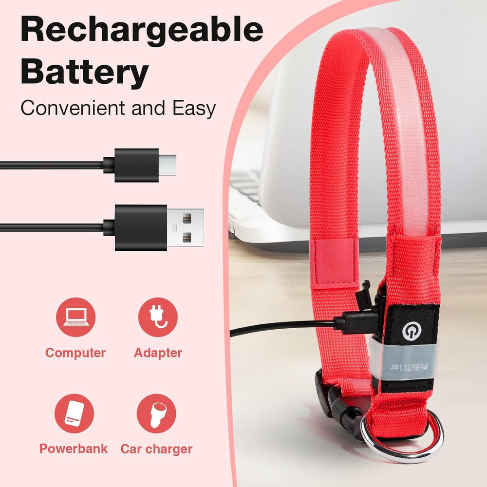 PcEoTllar waterproof rechargeable collar supports swimming and outdoor adventures.