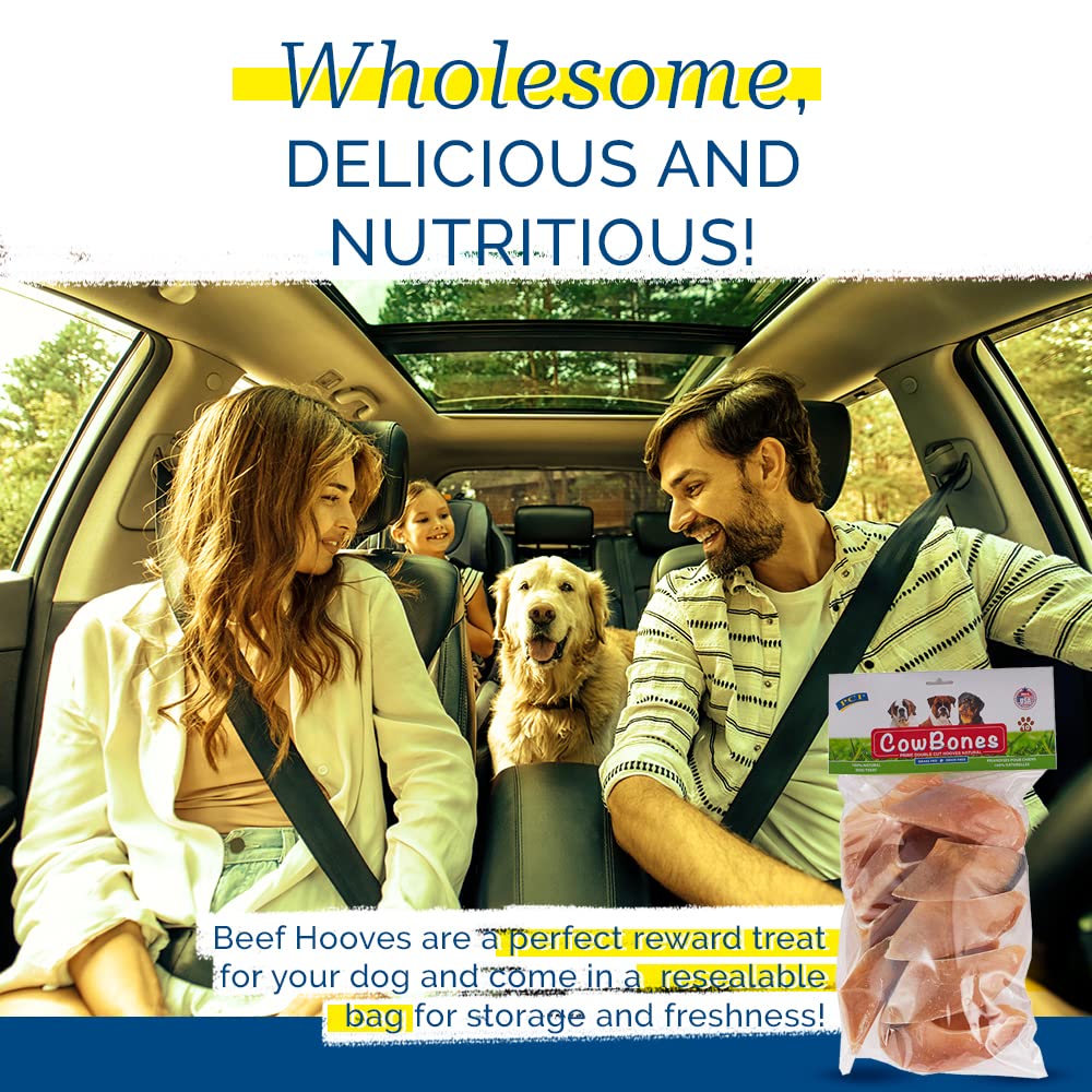 PCI Dog chew beef hooves close-up, delivering protein-rich, low-fat snack.
