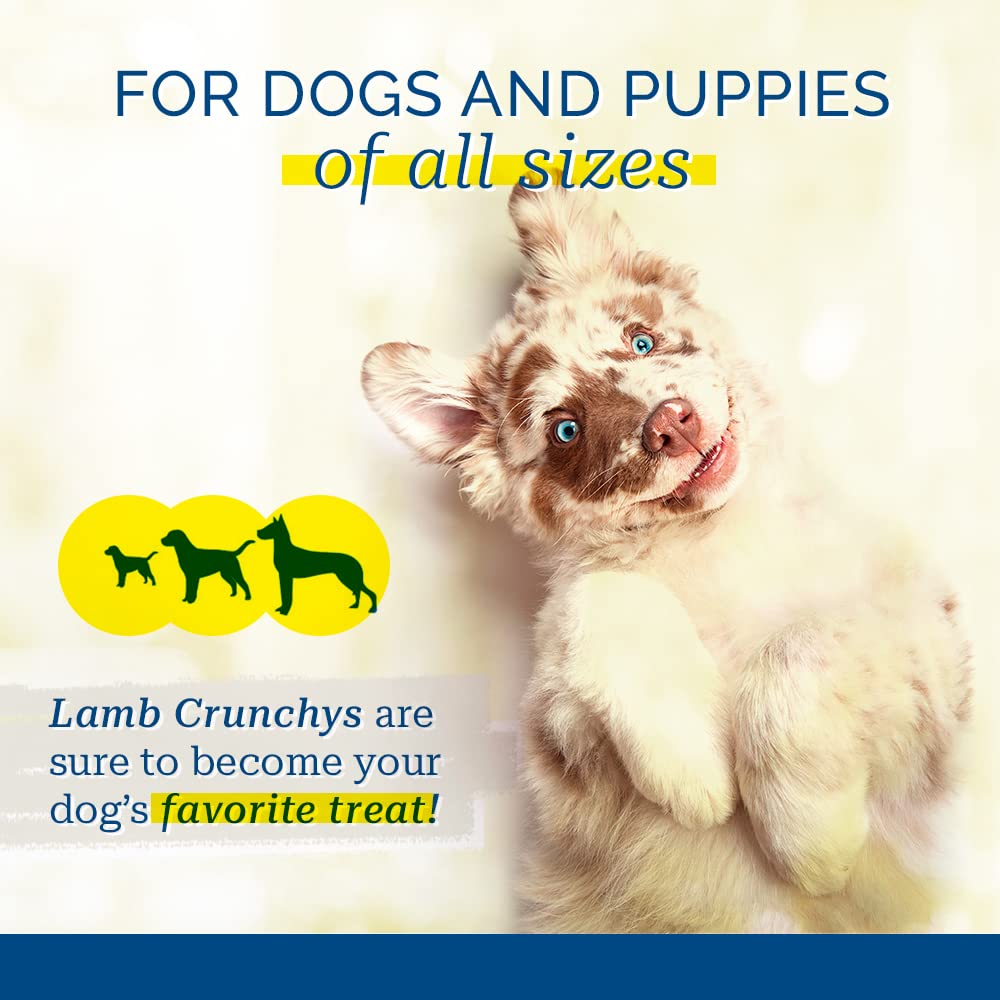 PCI Lamb Crunchys resealable container emphasizes freshness and long-lasting snacking.