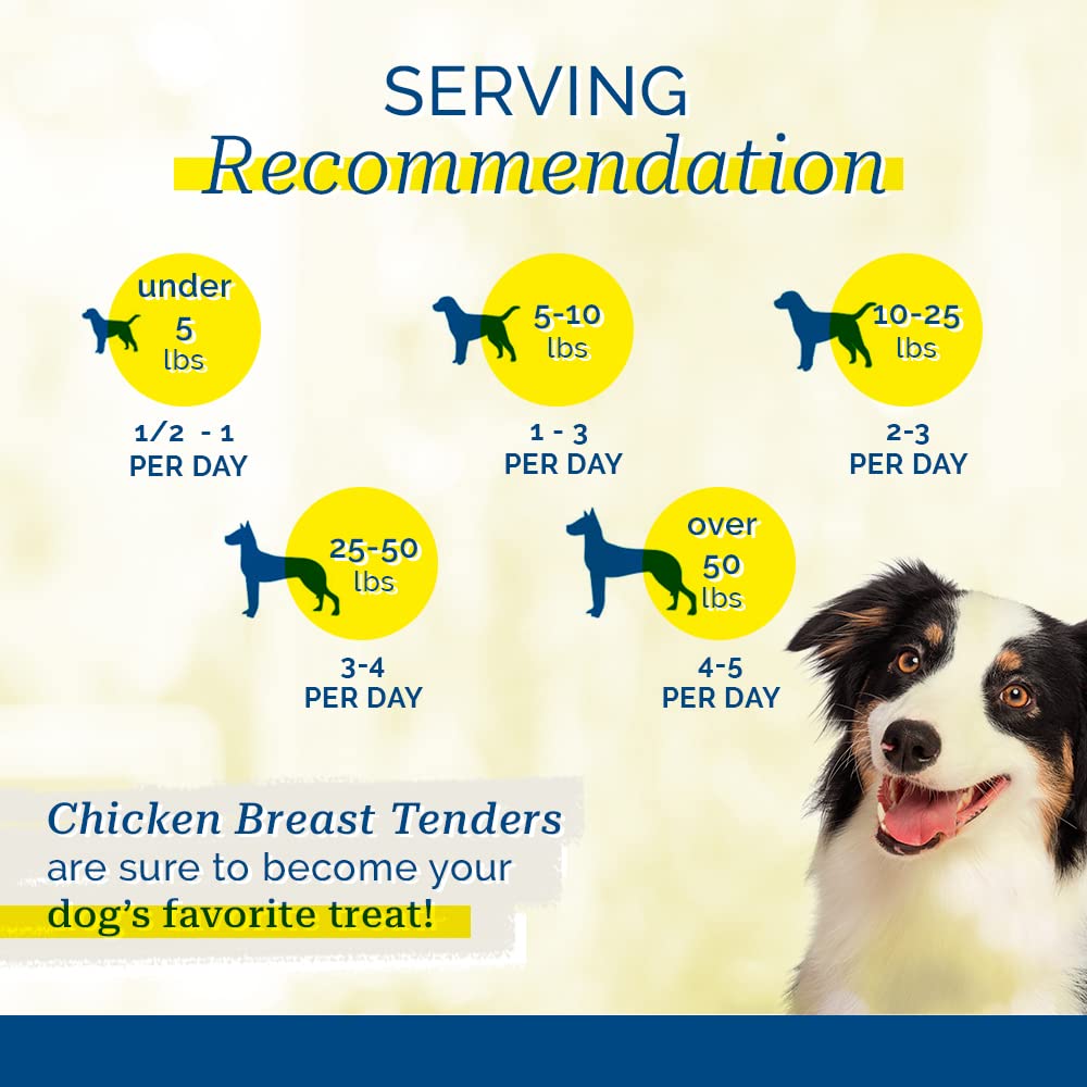 PCI Pet Center Chicken Breast Tenders texture close-up reveals chewy, protein-forward bite