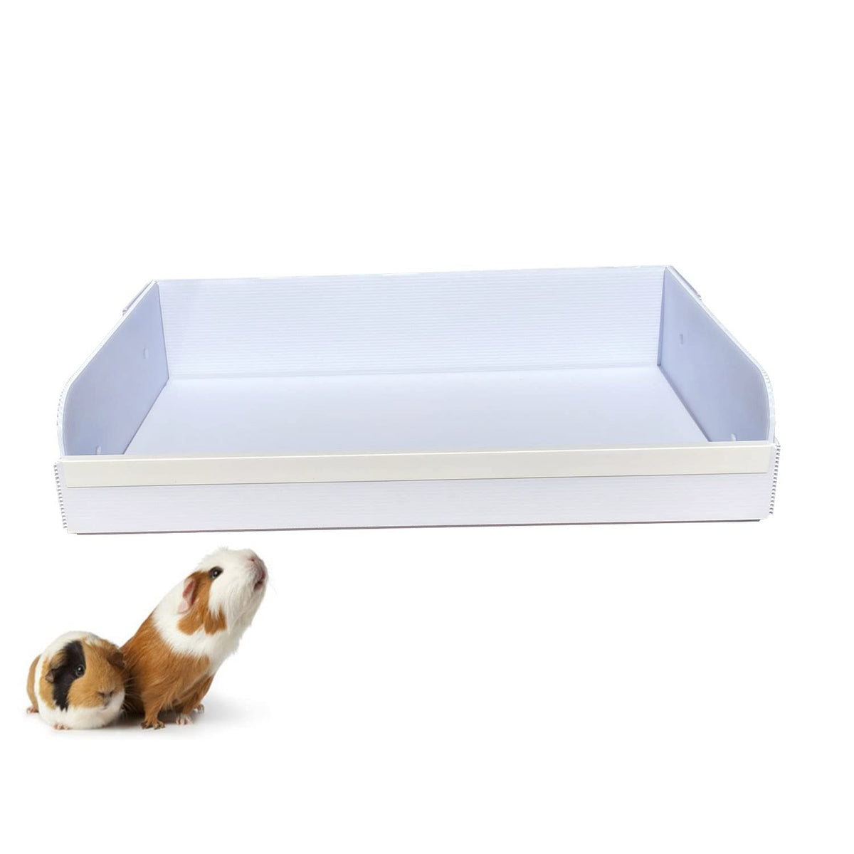 pcprbfk Andescobo kitchen inside cage for tidy guinea pig care and organization