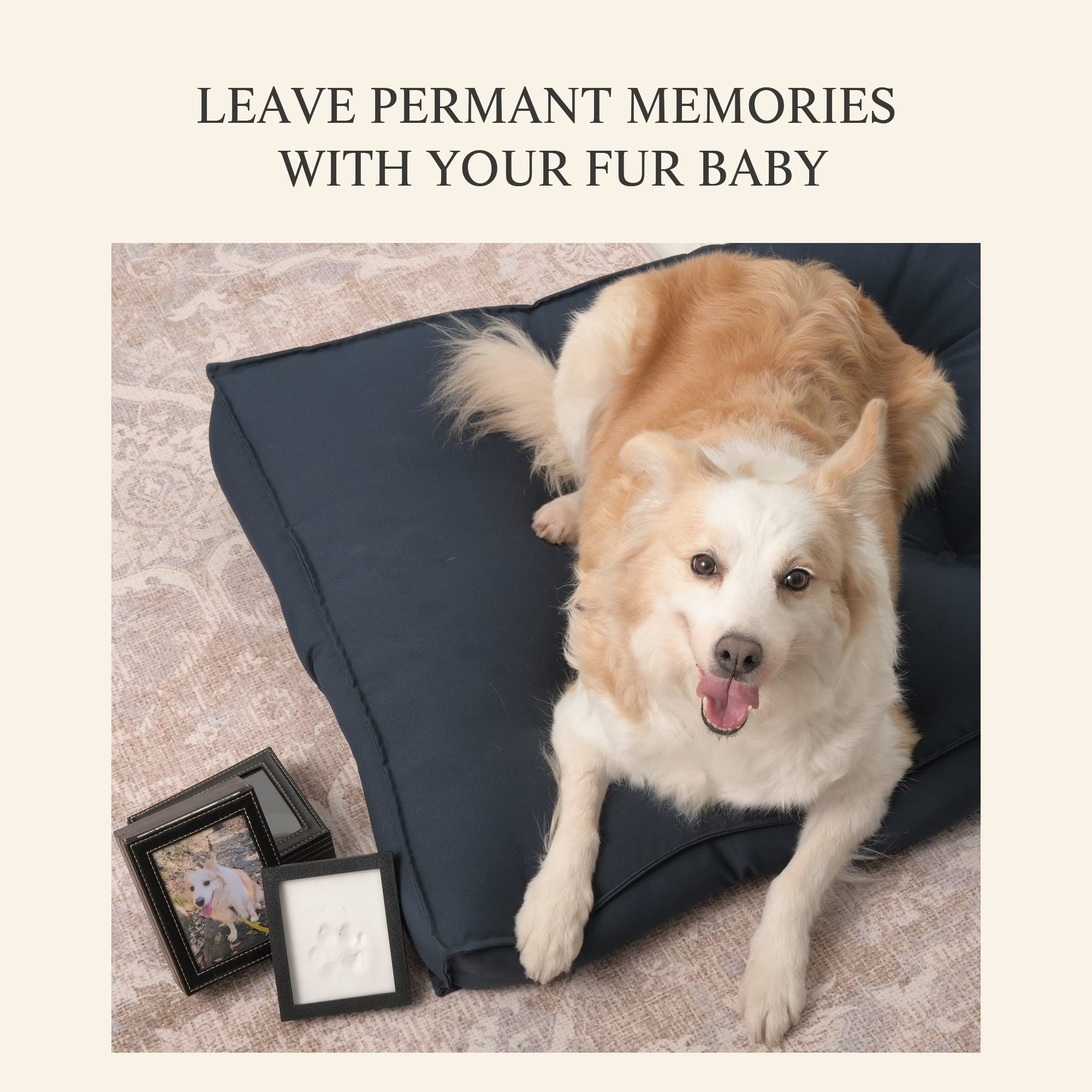 PCS Paw Print Kit closed box, compact memorial decor for home shelves.