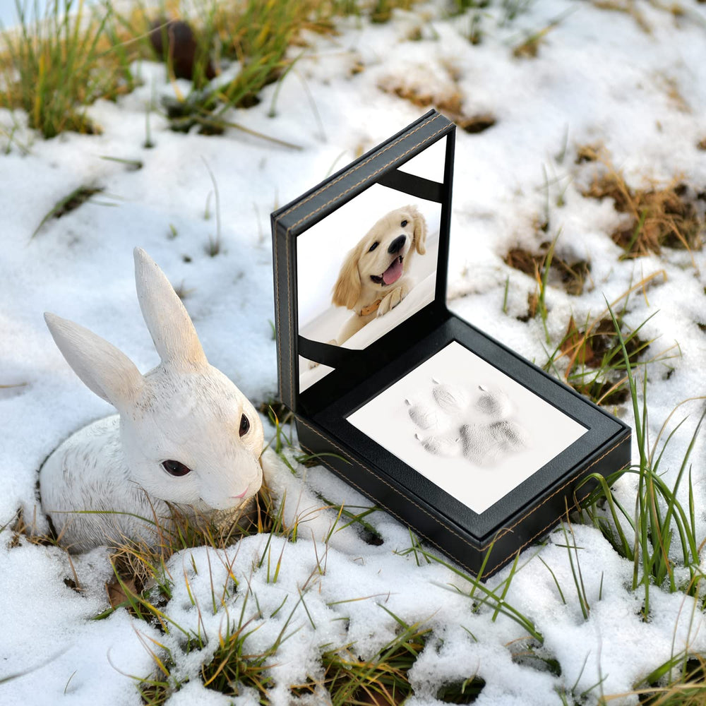 PCS Paw Print Kit gift-ready packaging, a thoughtful tribute for pet owners.
