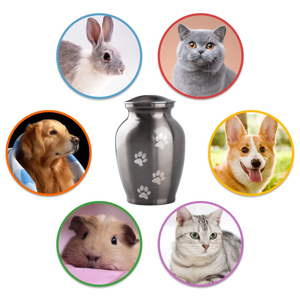 PCS pet cremation urn in lightweight durable metal.