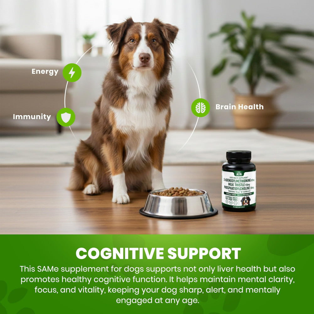 Weight-based dosing guidance for large dogs with Peak Pets