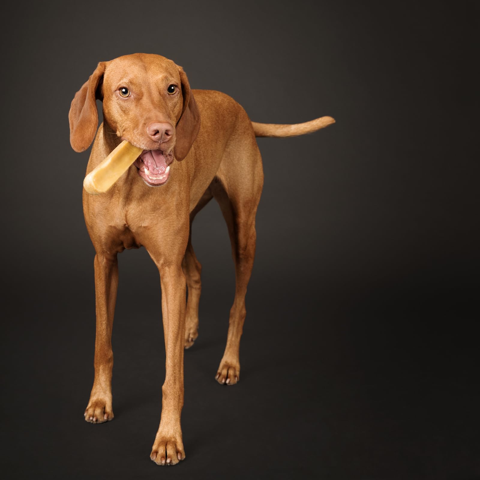peaksNpaws easily digestible safe chews promote comfortable chewing sessions.