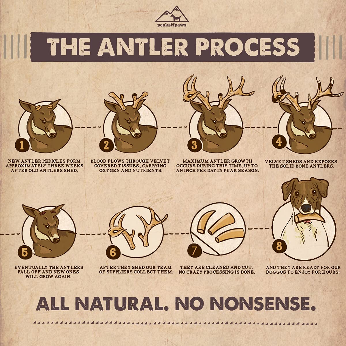 peaksNpaws elk antler size variety for different dogs