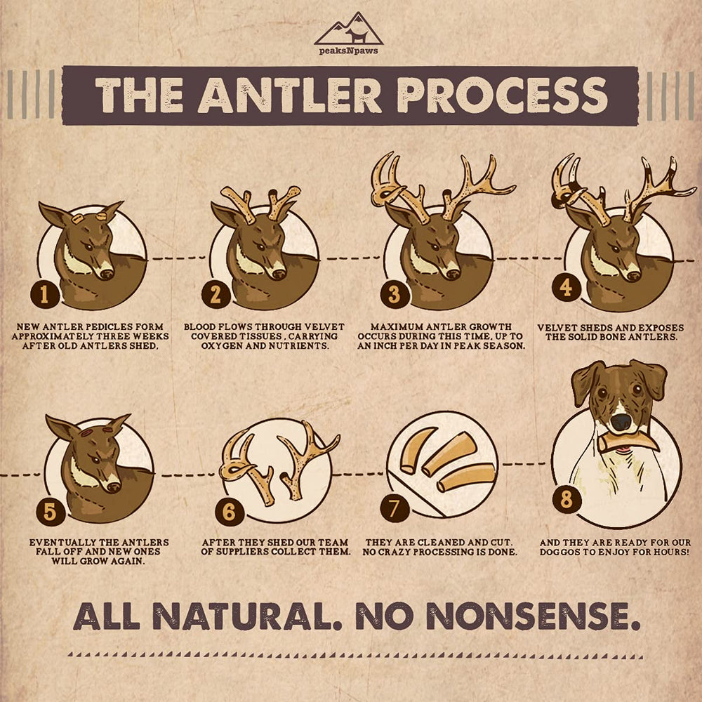 peaksNpaws elk antler split for aggressive chewers with safe durability.
