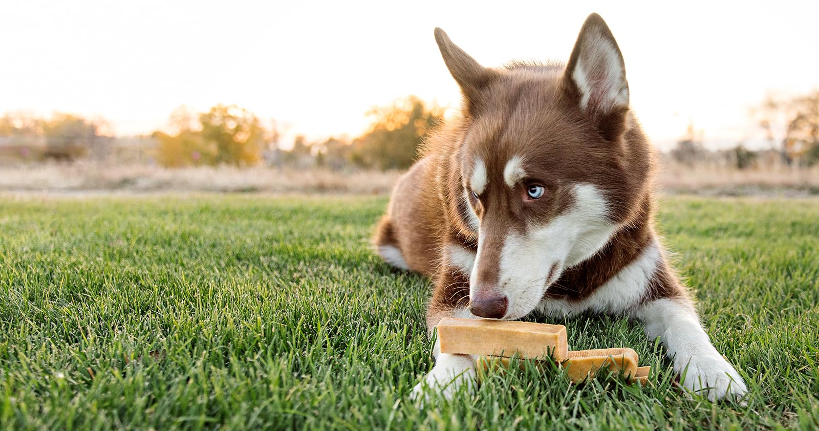 peaksNpaws natural ingredients milk salt lime provide a simple wholesome treat for dogs.