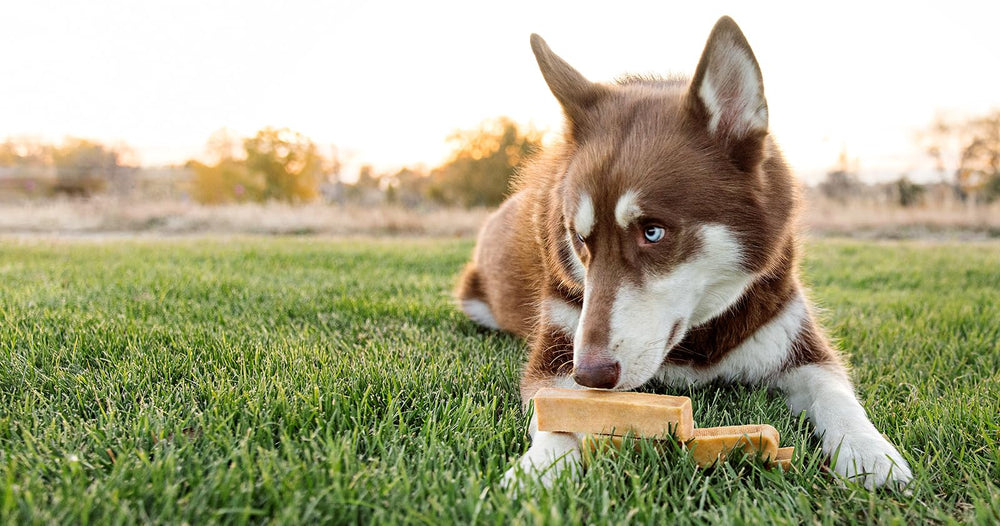 peaksNpaws natural ingredients milk salt lime provide a simple wholesome treat for dogs.