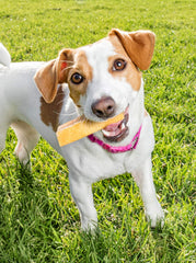 peaksnpaws Yak Cheese dog chews closeup texture shows durable, long-lasting bites.