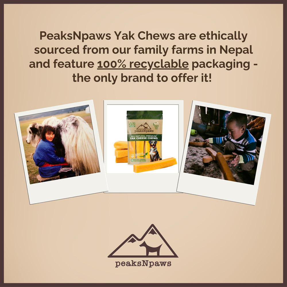 peaksNpaws yak cheese chews for medium dogs under 35 lbs during chew session.