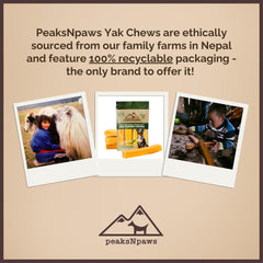 peaksNpaws yak cheese dog treats odor-free design for cleaner homes