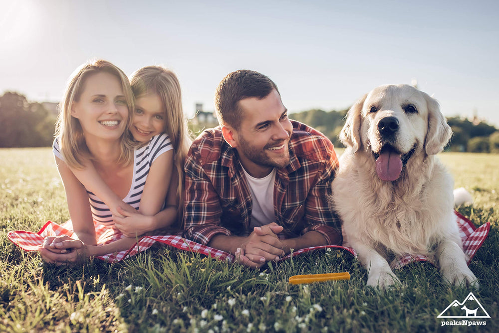 peaksnpaws yak-chews-dental-benefits: peaksnpaws yak chews support clean teeth and healthy gums.