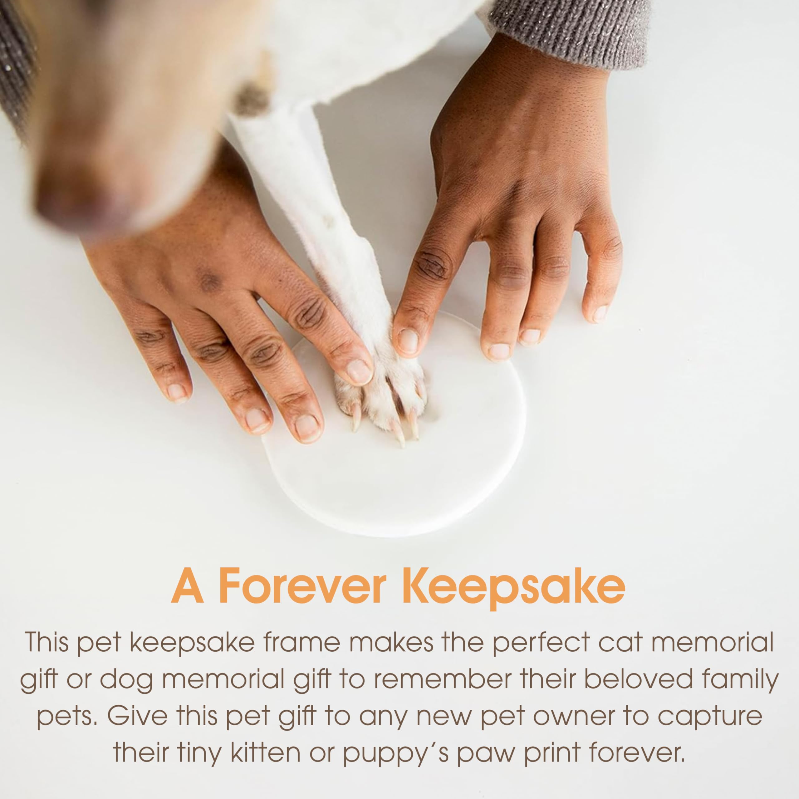 Pearhead 4x6 photo slot holds a favorite photo alongside the paw print
