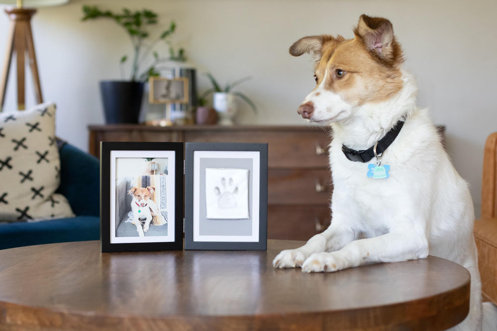 Pearhead memorial gift paw print—perfect for pet lovers.