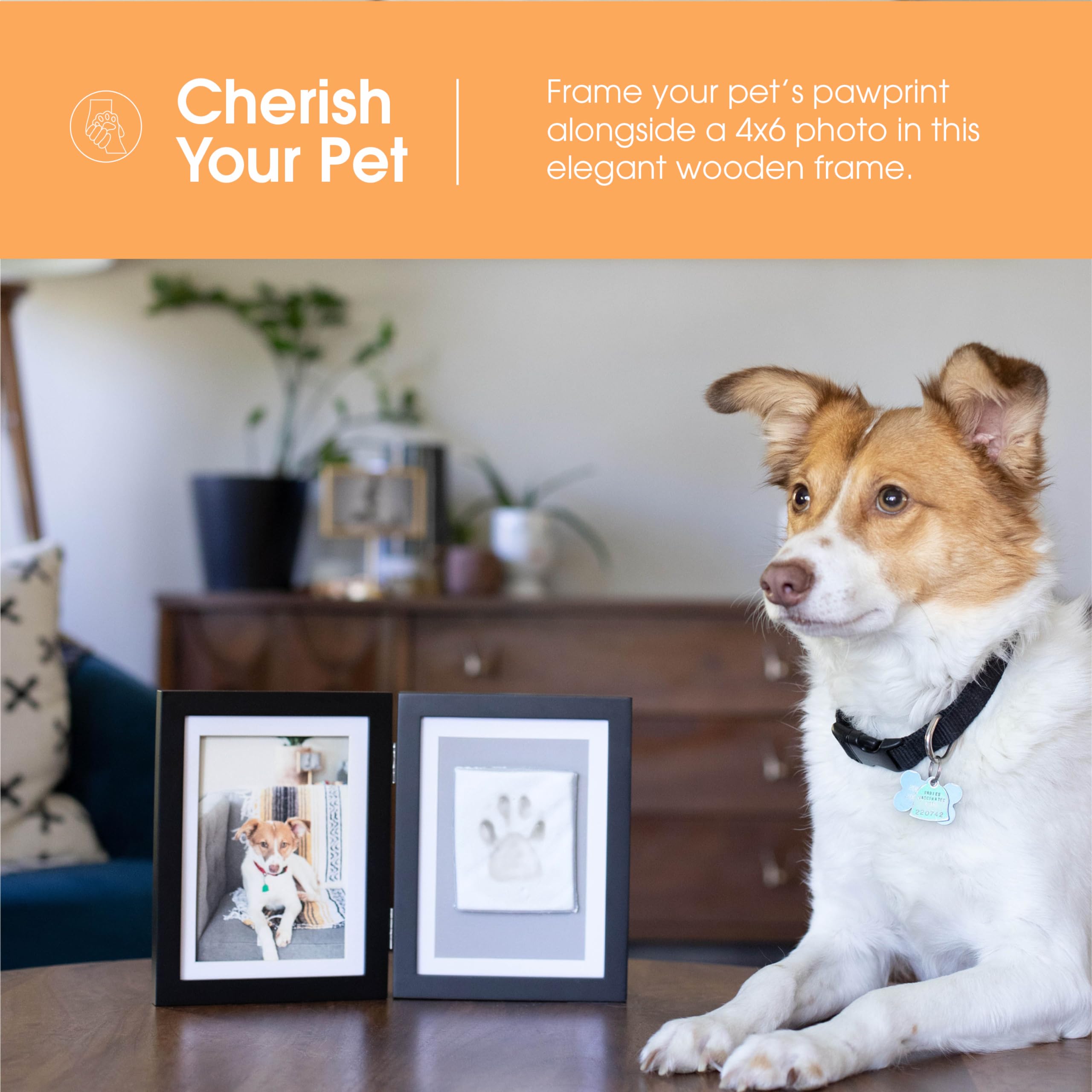Pearhead paw print frame ready for wall mounting or desk display.