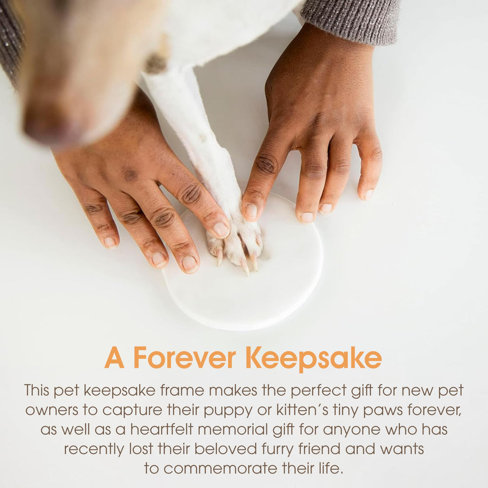 Pearhead paw print clay impression showing fine detail and lasting memory