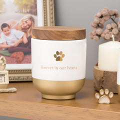 Pearhead pet urn compact size fits shelves and desks
