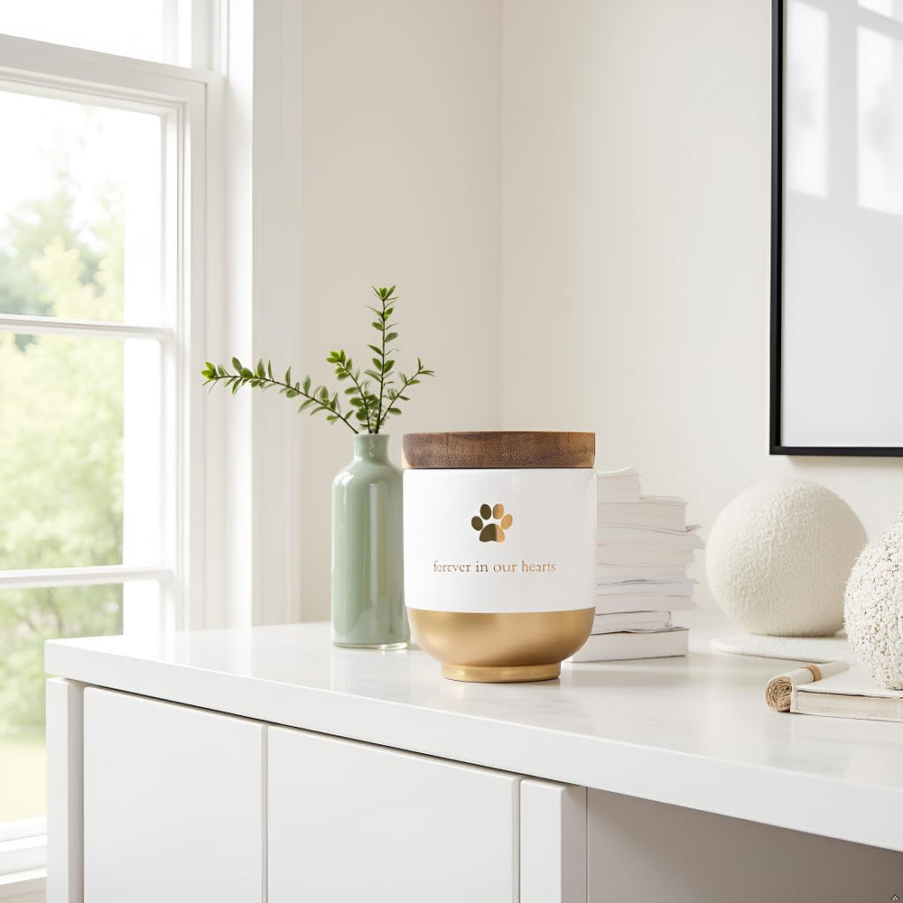 Pearhead memory jar keeps pet's memory close on a tabletop