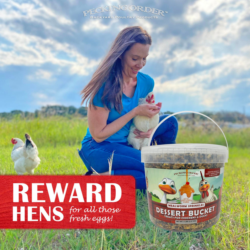 Pecking Order 5 lb dessert blend ready to use in a sturdy bucket