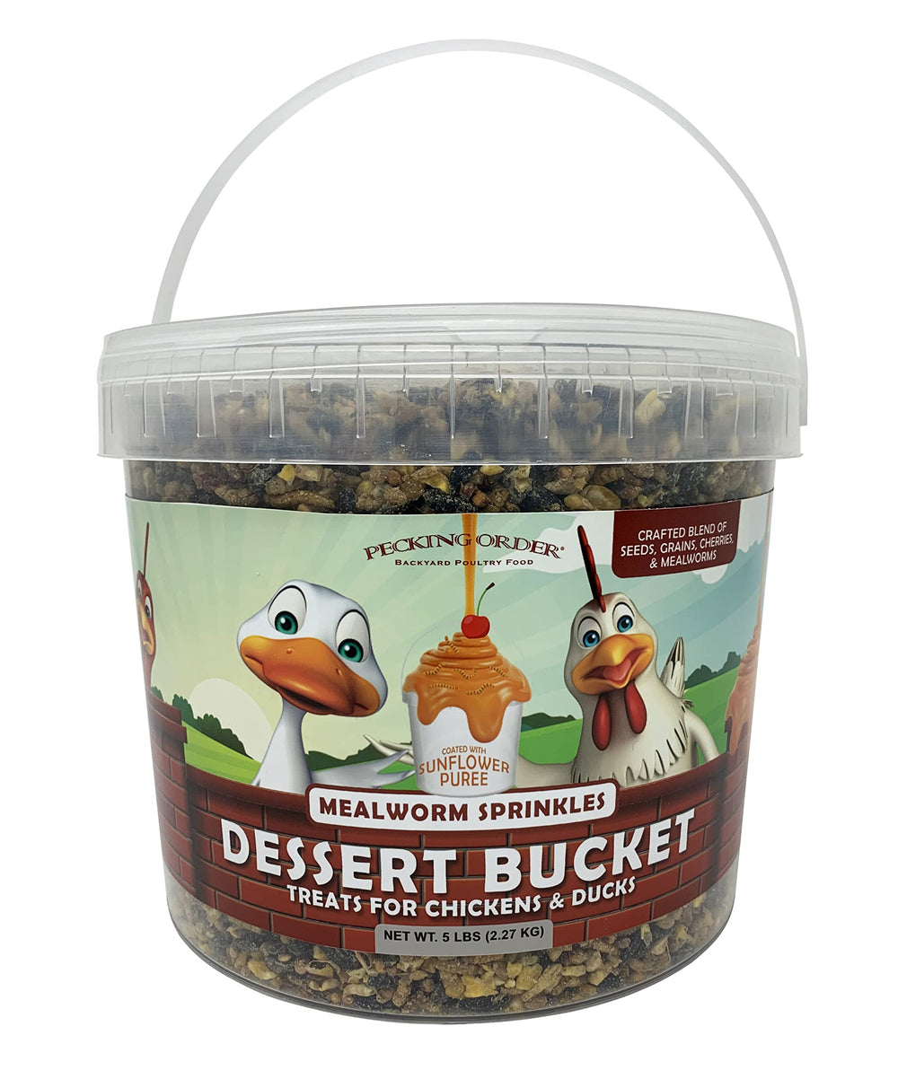 Pecking Order dessert bucket with mealworms sprinkles for flock treats and foraging