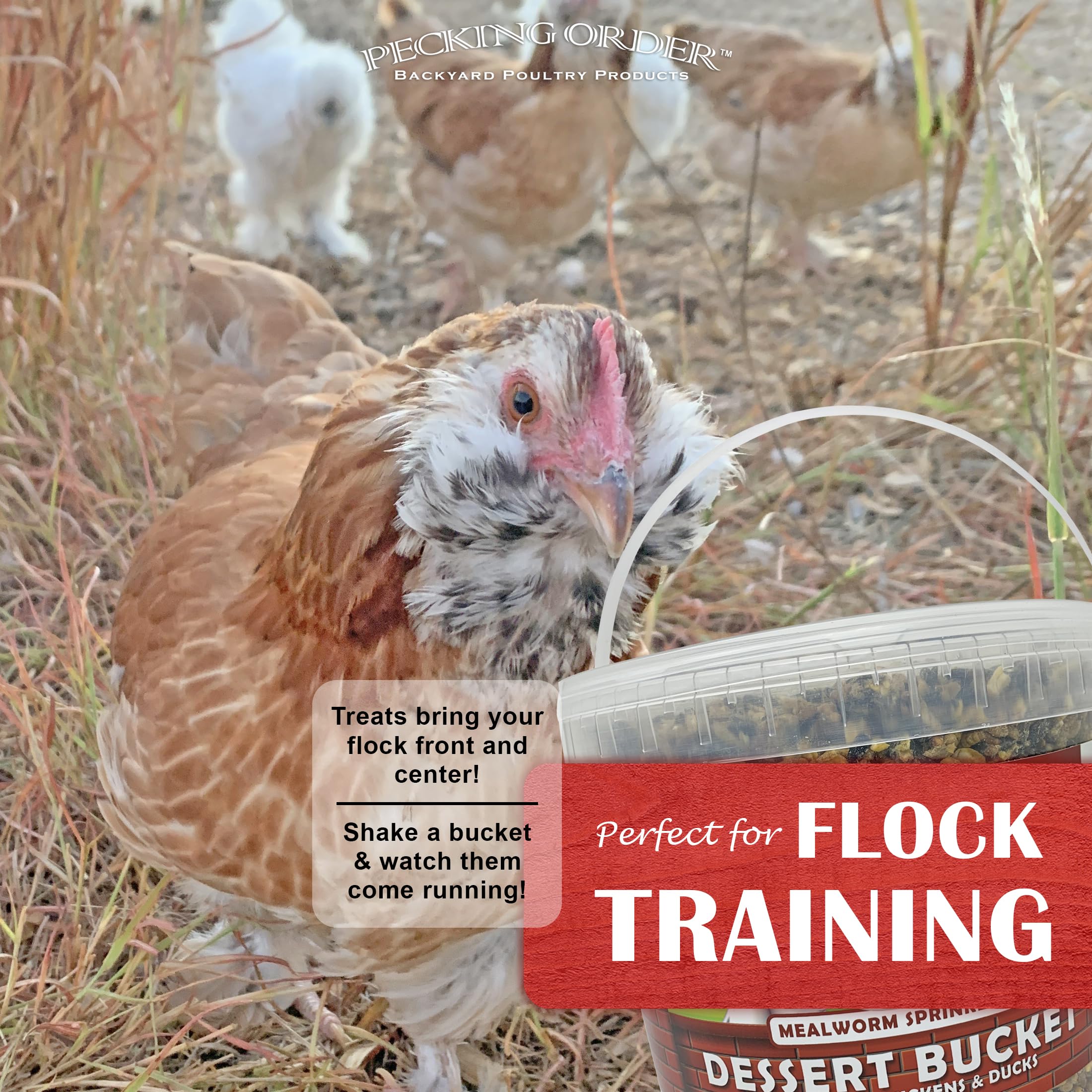 Pecking Order seeds, grains, and cherries mix adds texture for poultry