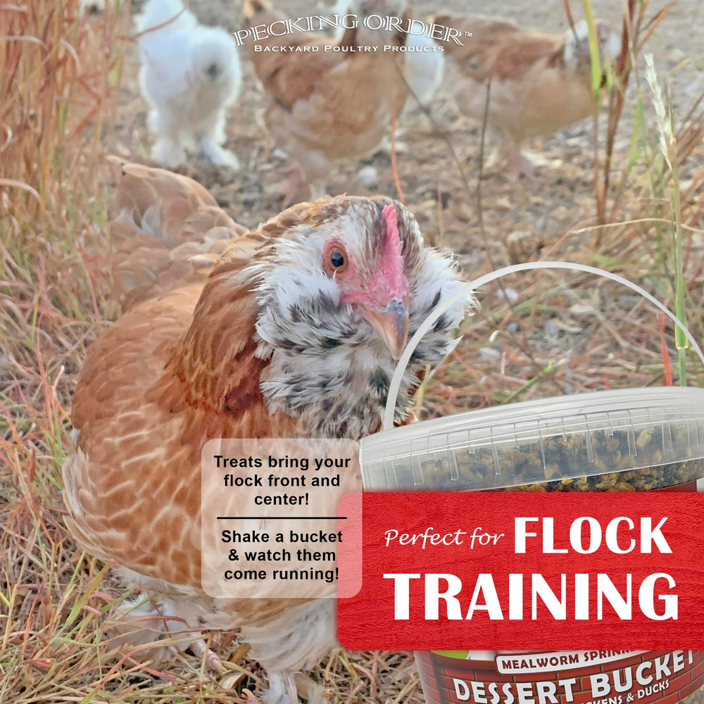 Pecking Order seeds, grains, and cherries mix adds texture for poultry