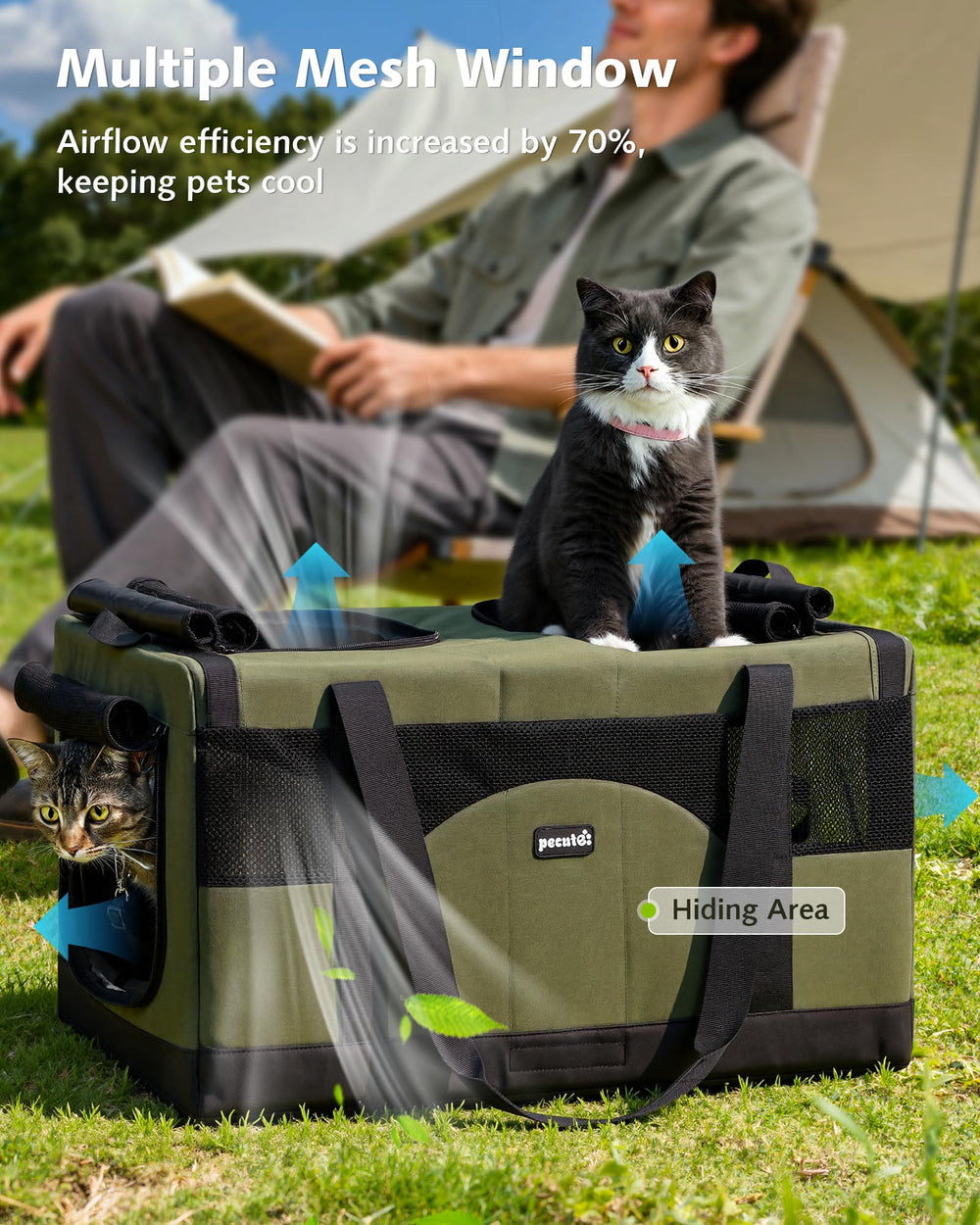 Pecute carrier demonstrates breathable mesh for better airflow and comfort.