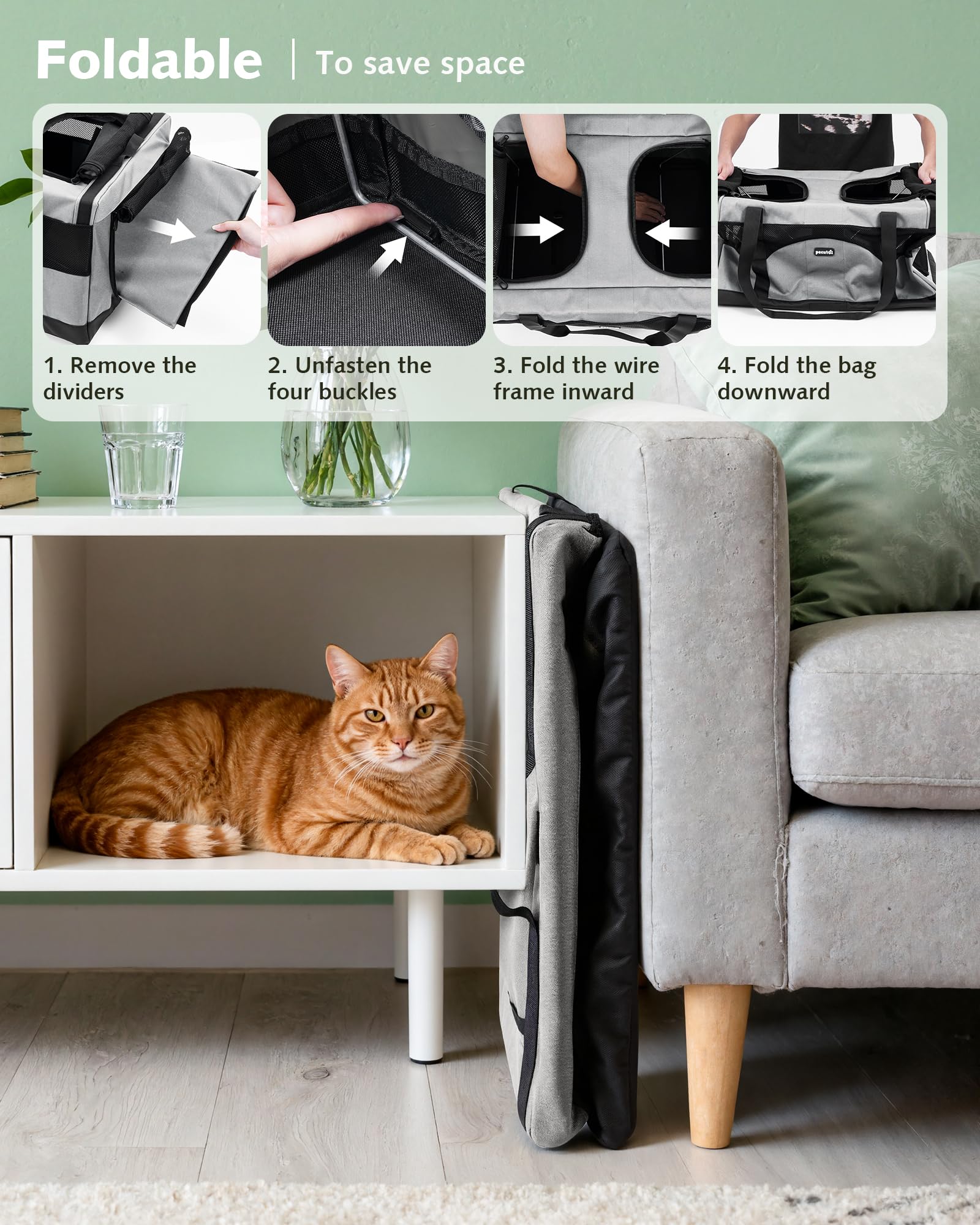 Pecute spacious two-cat mode illustrates dual-zone setup