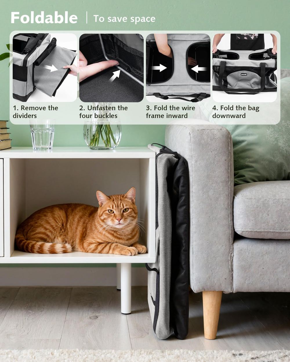 Pecute spacious two-cat mode illustrates dual-zone setup