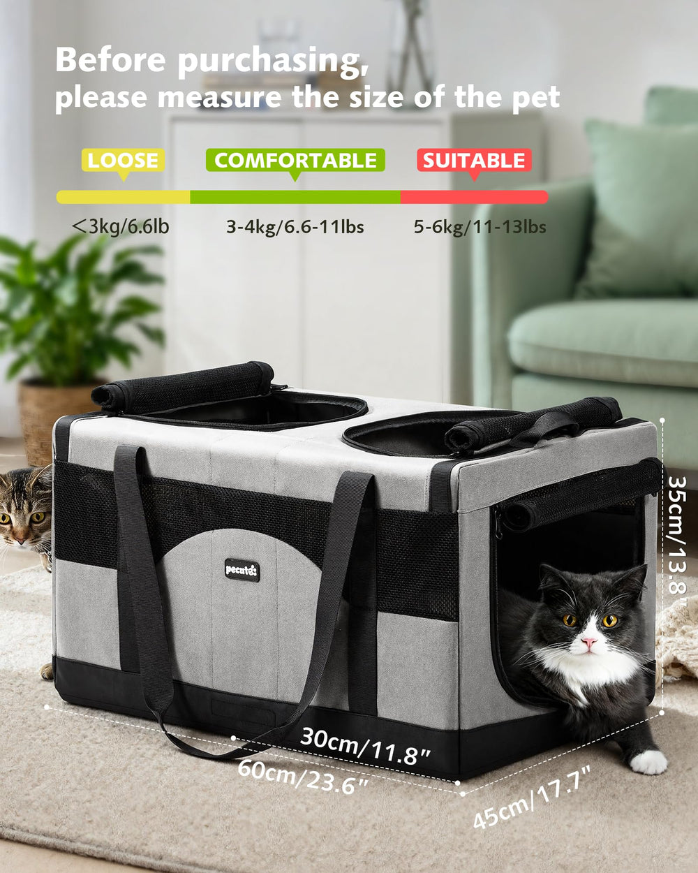 Pecute carrier in travel use for vet visits and on-the-go