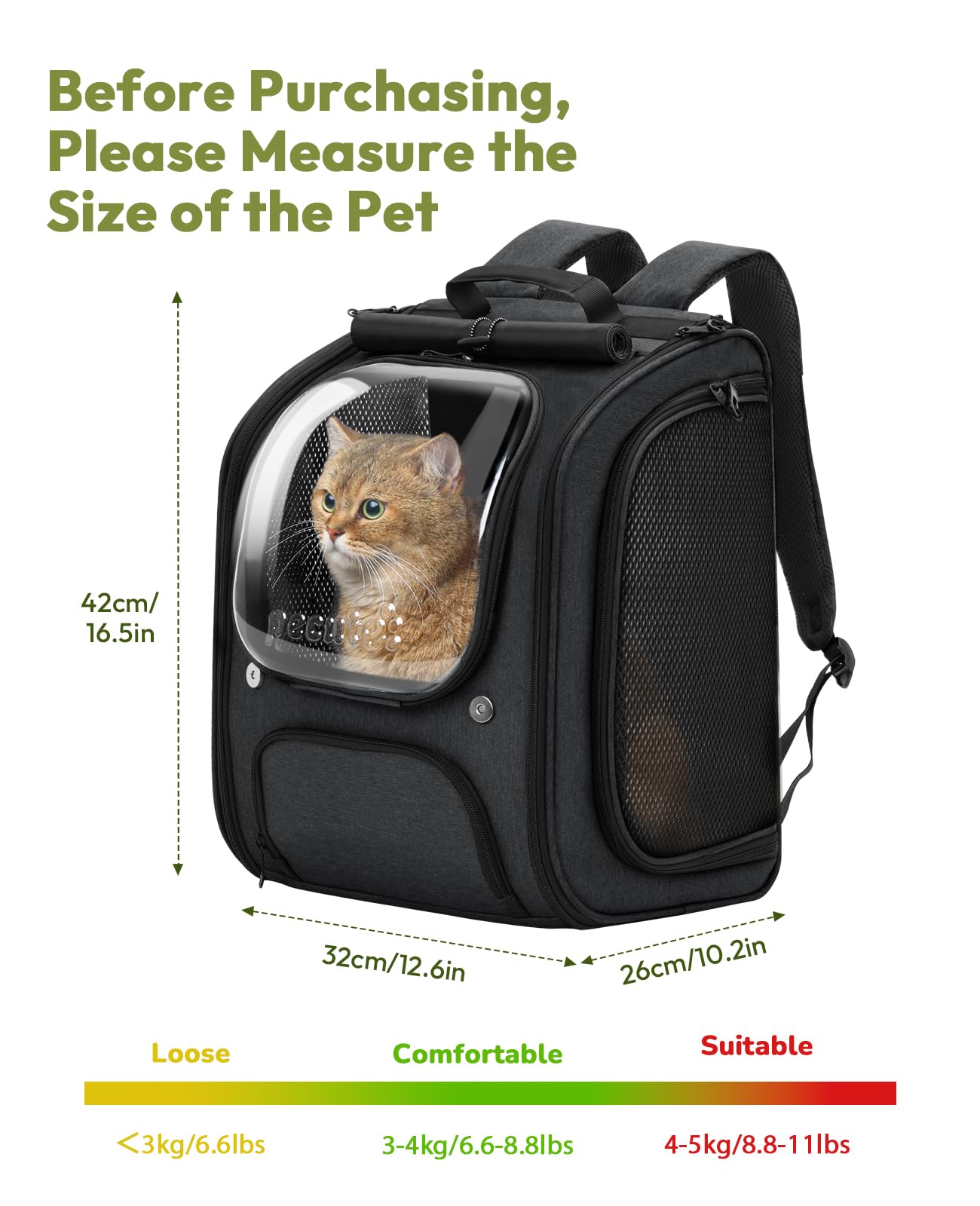 Pecute Cat Backpack Bubble compact dimensions fit cats under 6 kg comfortably.