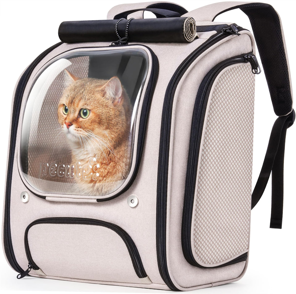 Pecute cat backpack bubble front view showing spacious interior for pets