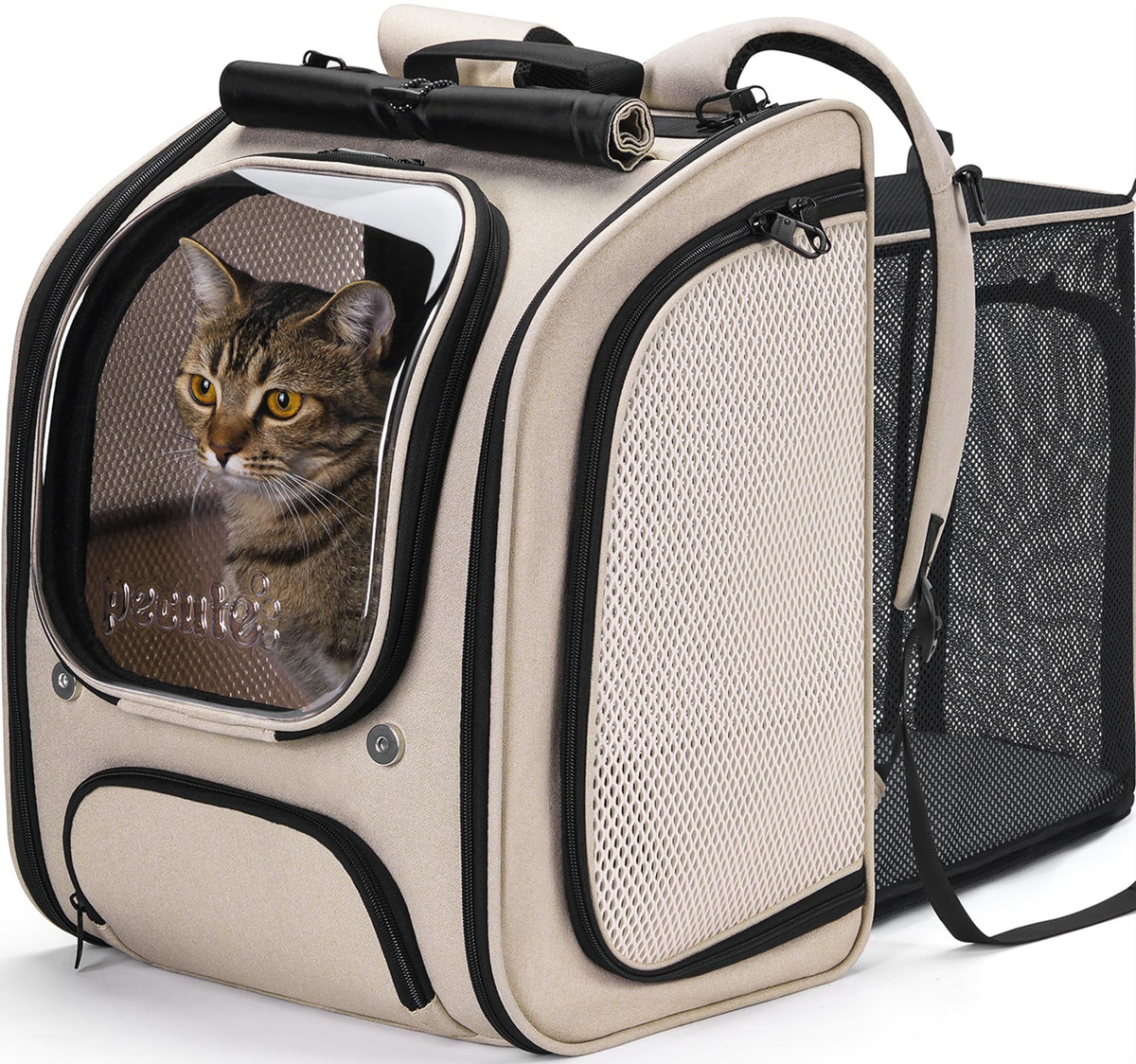 Pecute cat backpack bubble front view, roomy chamber for comfortable travel.