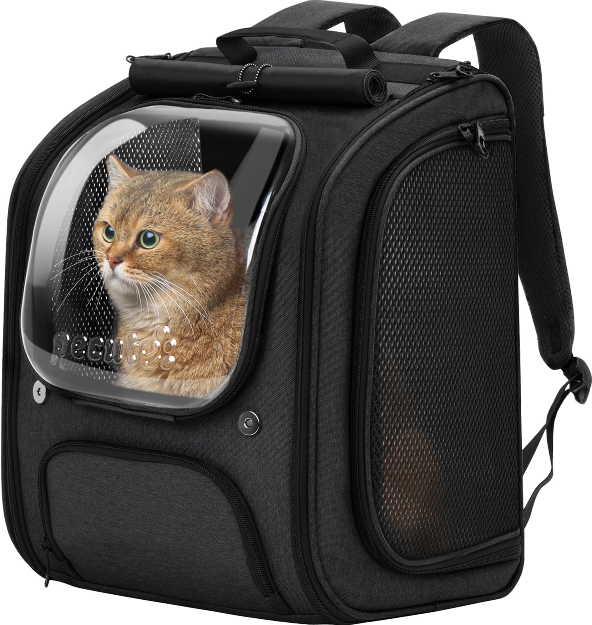 Pecute Cat Backpack Bubble front view shows roomy space and safety harness for calm travels.
