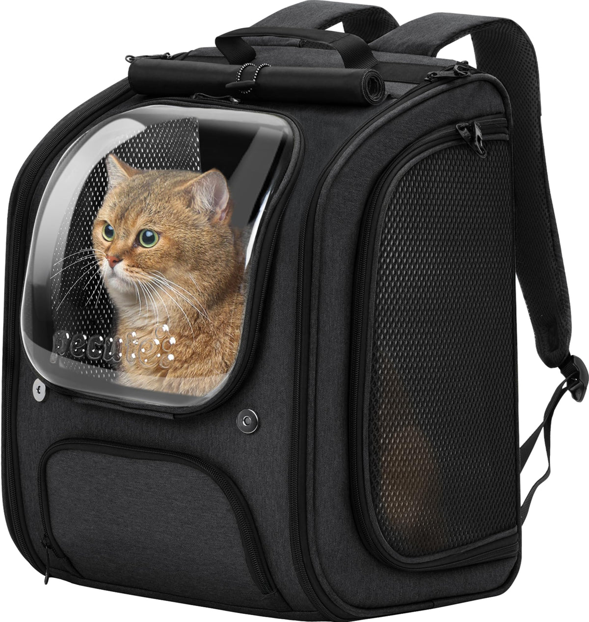 Pecute Cat Backpack Bubble front view shows roomy space and safety harness for calm travels.
